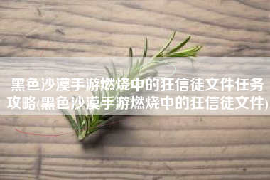 黑色沙漠手游燃烧中的狂信徒文件任务攻略(黑色沙漠手游燃烧中的狂信徒文件)