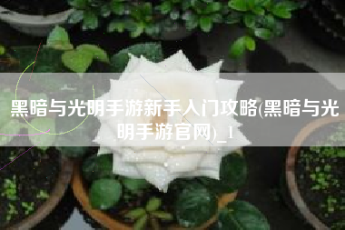 黑暗与光明手游新手入门攻略(黑暗与光明手游官网)_1