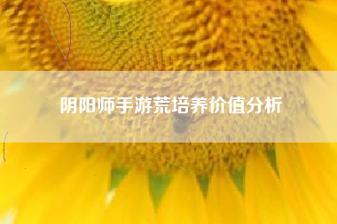阴阳师手游荒培养价值分析