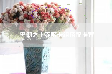 黑潮之上赤姬卡组搭配推荐