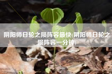 阴阳师日轮之陨阵容最快(阴阳师日轮之陨阵容一分钟)