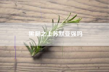 黑潮之上苏默亚强吗