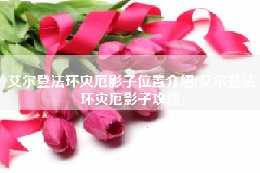 艾尔登法环灾厄影子位置介绍(艾尔登法环灾厄影子攻略)