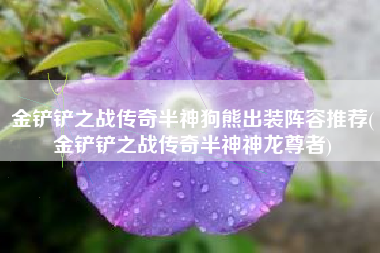 金铲铲之战传奇半神狗熊出装阵容推荐(金铲铲之战传奇半神神龙尊者)