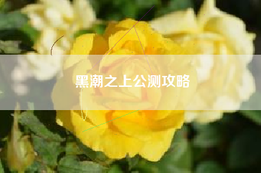 黑潮之上公测攻略