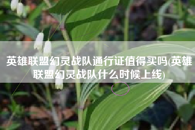英雄联盟幻灵战队通行证值得买吗(英雄联盟幻灵战队什么时候上线)