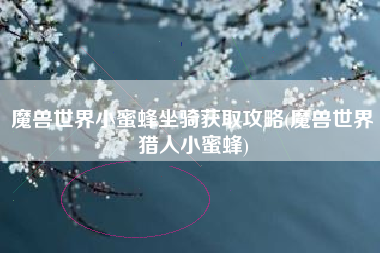 魔兽世界小蜜蜂坐骑获取攻略(魔兽世界猎人小蜜蜂)