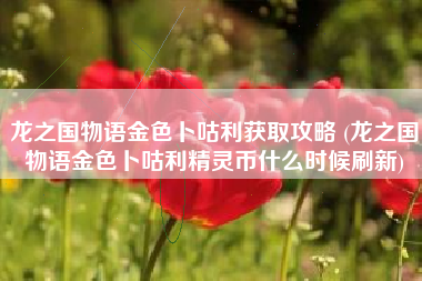 龙之国物语金色卜咕利获取攻略 (龙之国物语金色卜咕利精灵币什么时候刷新)