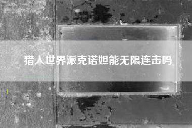 猎人世界派克诺妲能无限连击吗
