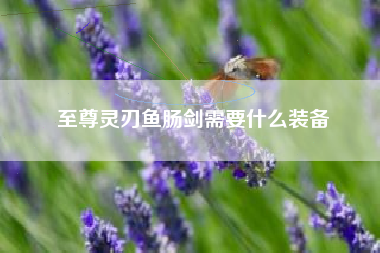 至尊灵刃鱼肠剑需要什么装备