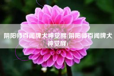 阴阳师百闻牌犬神觉醒(阴阳师百闻牌犬神觉醒)