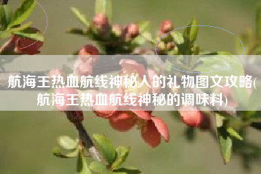 航海王热血航线神秘人的礼物图文攻略(航海王热血航线神秘的调味料)