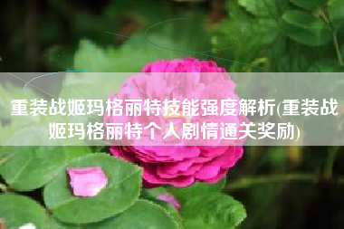重装战姬玛格丽特技能强度解析(重装战姬玛格丽特个人剧情通关奖励)