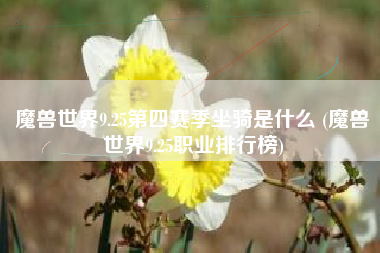 魔兽世界9.25第四赛季坐骑是什么 (魔兽世界9.25职业排行榜)