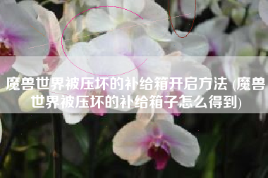 魔兽世界被压坏的补给箱开启方法 (魔兽世界被压坏的补给箱子怎么得到)