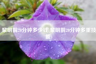 黎明前20分钟多少钱(黎明前20分钟多重技能)