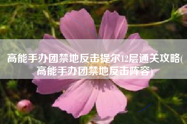 高能手办团禁地反击提尔12层通关攻略(高能手办团禁地反击阵容)