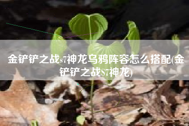 金铲铲之战s7神龙乌鸦阵容怎么搭配(金铲铲之战S7神龙)