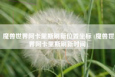 魔兽世界阿卡里斯刷新位置坐标 (魔兽世界阿卡里斯刷新时间)