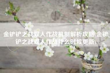 金铲铲之战双人作战机制解析攻略(金铲铲之战双人作战什么时候更新)