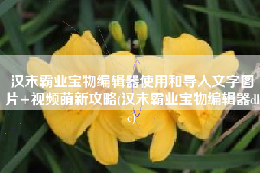 汉末霸业宝物编辑器使用和导入文字图片+视频萌新攻略(汉末霸业宝物编辑器dlc)