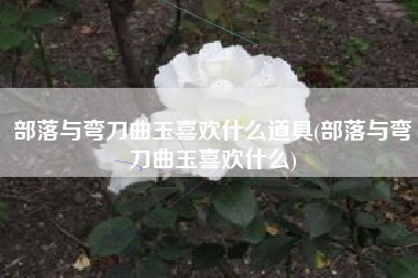 部落与弯刀曲玉喜欢什么道具(部落与弯刀曲玉喜欢什么)