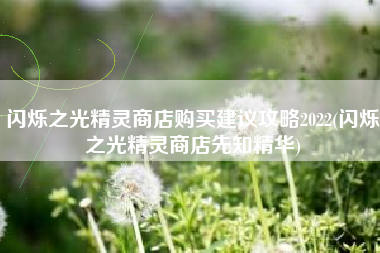 闪烁之光精灵商店购买建议攻略2022(闪烁之光精灵商店先知精华)