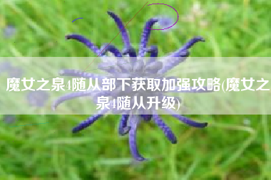 魔女之泉4随从部下获取加强攻略(魔女之泉4随从升级)