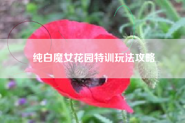 纯白魔女花园特训玩法攻略