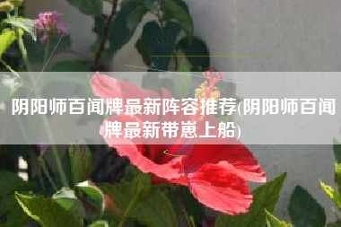 阴阳师百闻牌最新阵容推荐(阴阳师百闻牌最新带崽上船)