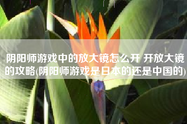 阴阳师游戏中的放大镜怎么开 开放大镜的攻略(阴阳师游戏是日本的还是中国的)