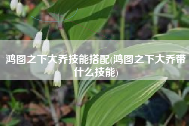 鸿图之下大乔技能搭配(鸿图之下大乔带什么技能)