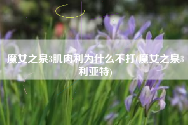 魔女之泉3肌肉利为什么不打(魔女之泉3利亚特)