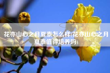 花亦山心之月夏泰怎么样(花亦山心之月夏泰值得培养吗)