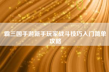 霸三国手游新手玩家战斗技巧入门简单攻略