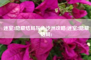 迷室3隐藏结局灰色沙洲攻略(迷室2隐藏结局)