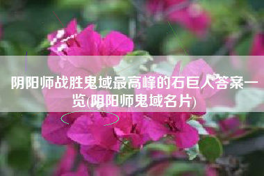 阴阳师战胜鬼域最高峰的石巨人答案一览(阴阳师鬼域名片)