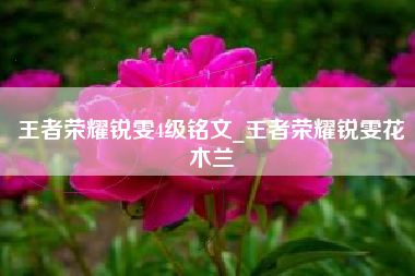 王者荣耀锐雯4级铭文_王者荣耀锐雯花木兰