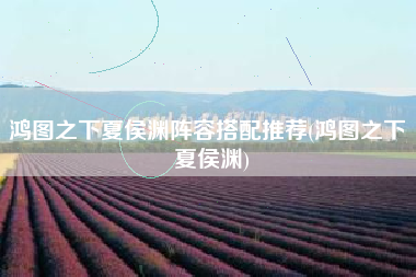 鸿图之下夏侯渊阵容搭配推荐(鸿图之下 夏侯渊)