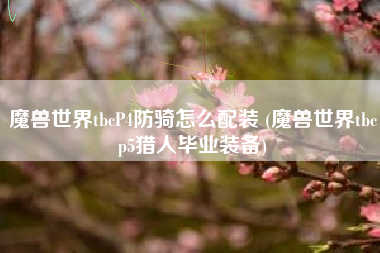 魔兽世界tbcP4防骑怎么配装 (魔兽世界tbcp5猎人毕业装备)
