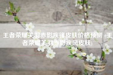 王者荣耀关羽赤影疾锋皮肤价格预测 (王者荣耀关羽赤影疾风皮肤)
