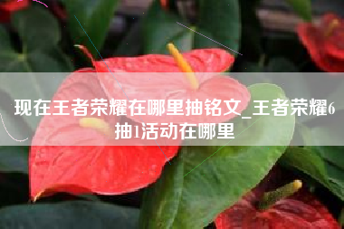 现在王者荣耀在哪里抽铭文_王者荣耀6抽1活动在哪里