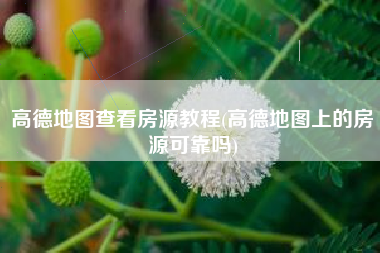 高德地图查看房源教程(高德地图上的房源可靠吗)