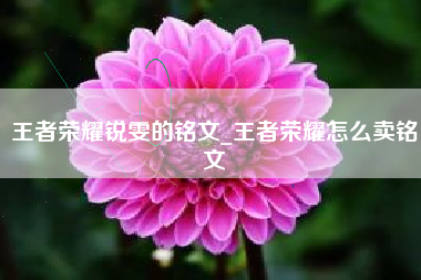 王者荣耀锐雯的铭文_王者荣耀怎么卖铭文