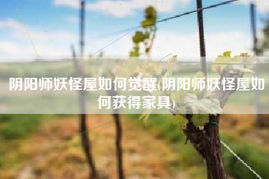 阴阳师妖怪屋如何觉醒(阴阳师妖怪屋如何获得家具)