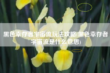黑色幸存者宇宙流玩法攻略(黑色幸存者宇宙流是什么意思)