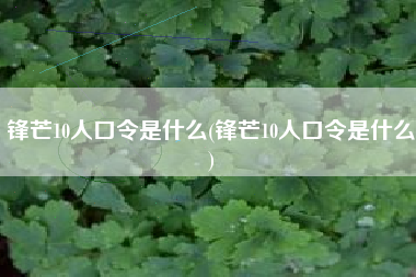 锋芒10人口令是什么(锋芒10人口令是什么)