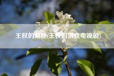 王权的游戏(王权的游戏电视剧)