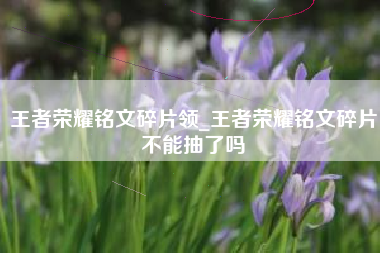 王者荣耀铭文碎片领_王者荣耀铭文碎片不能抽了吗
