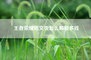 王者荣耀铭文页怎么解锁多钱